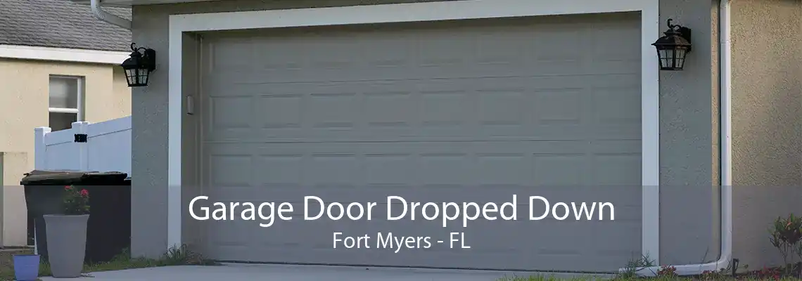 Garage Door Dropped Down Fort Myers - FL