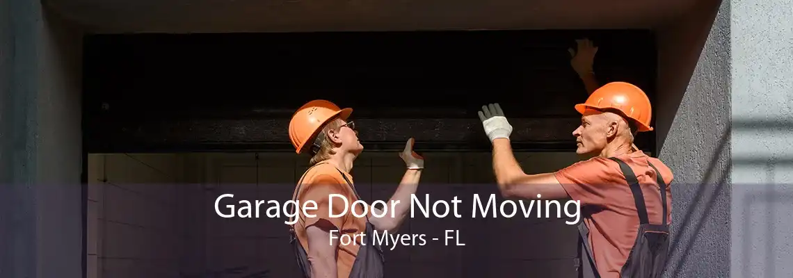 Garage Door Not Moving Fort Myers - FL